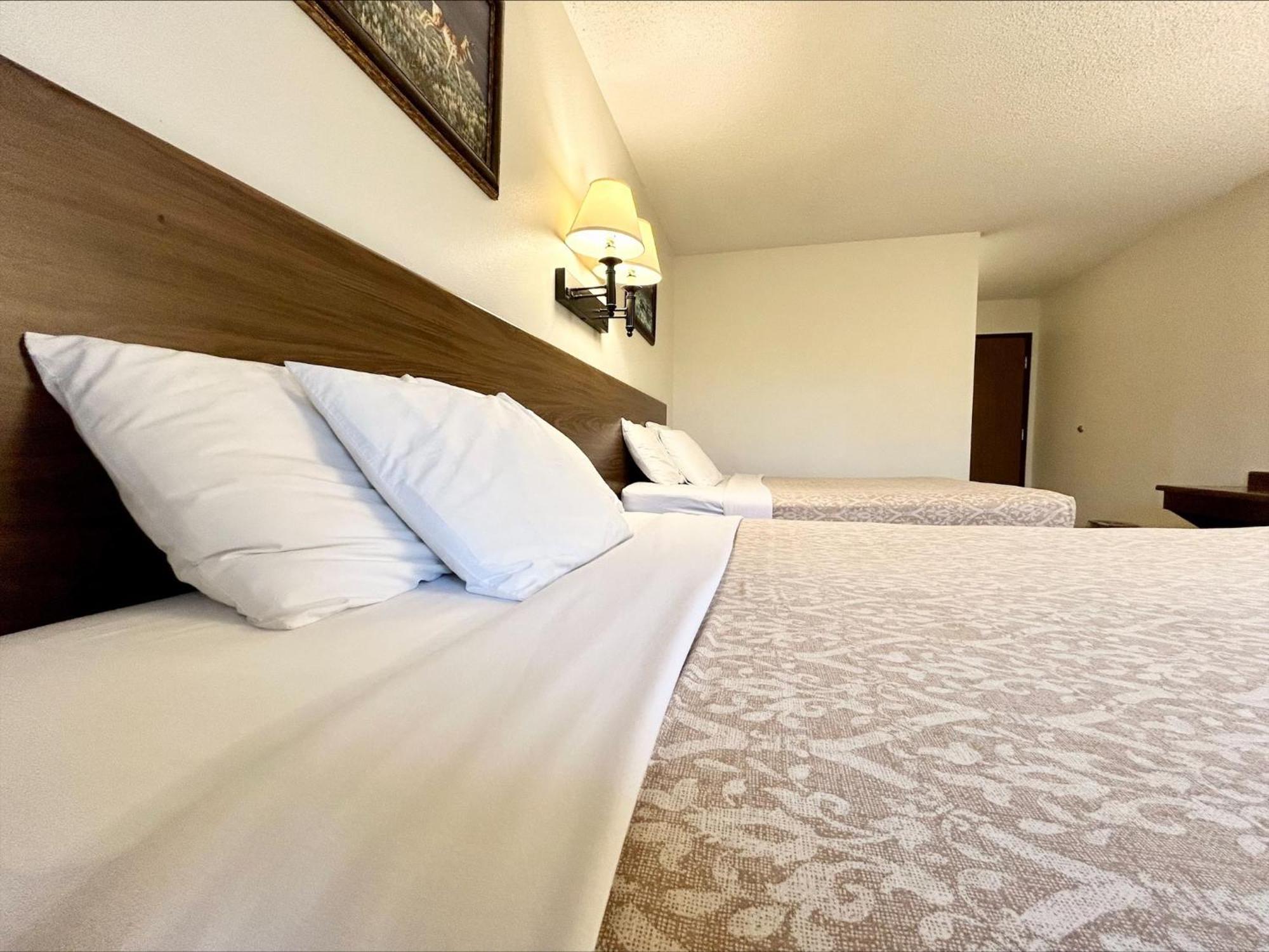 Homestead Inn Wolf Point Bagian luar foto