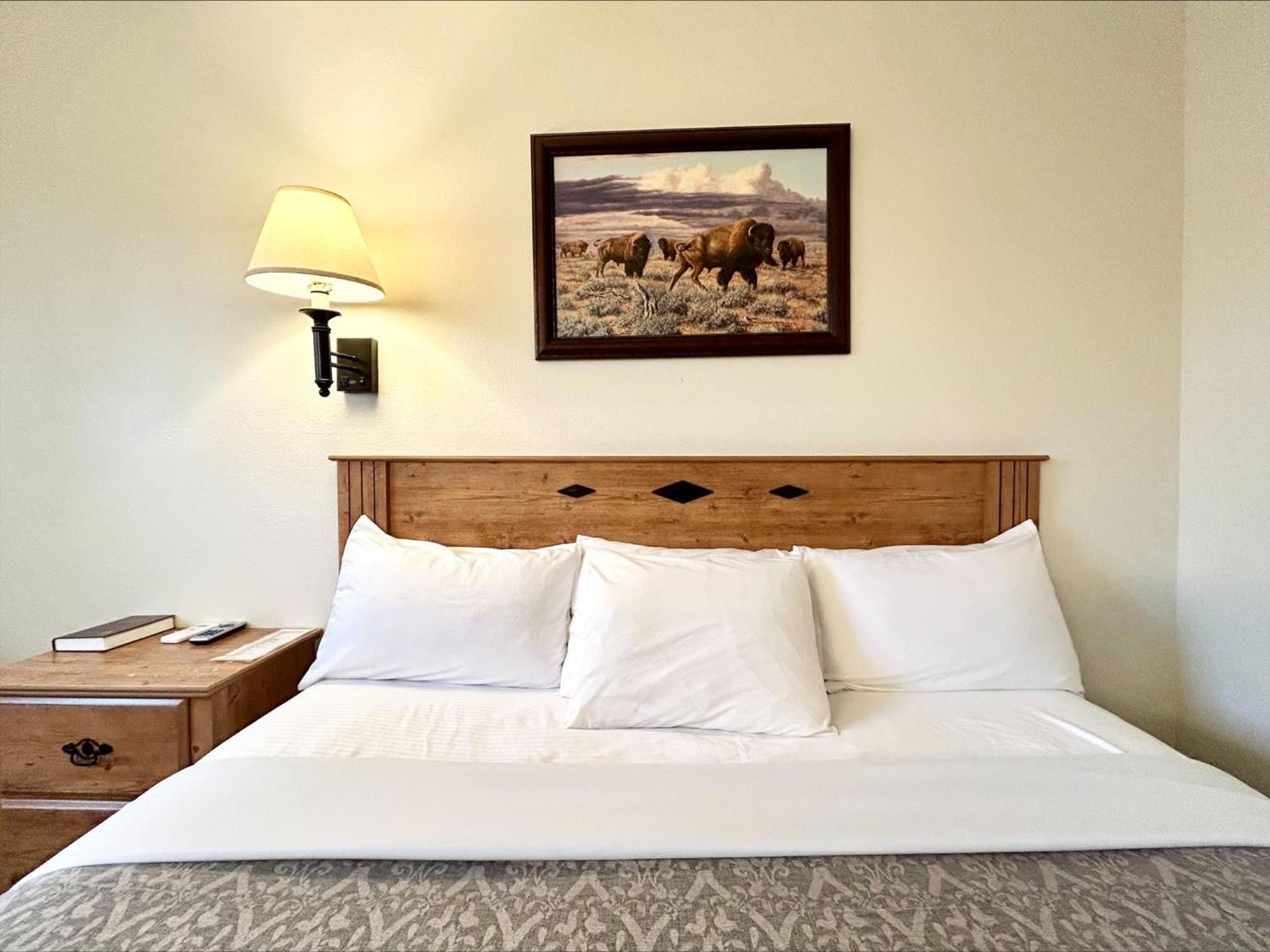 Homestead Inn Wolf Point Bagian luar foto
